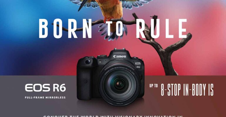 แคนนอน เปิดตัวเรือธงใหม่ สุดยอดกล้องมิเรอร์เลสฟูลเฟรม EOS R6 Born to Rule